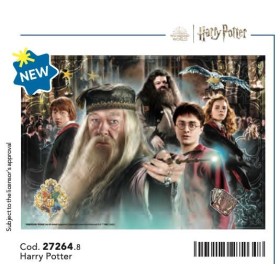 HARRY POTTER - Personnages - Puzzle 104P