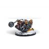 Infinity - FAT YUAN YUAN, LIMITED CHRISTMAS EDITION