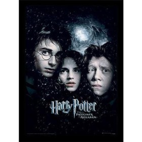 HARRY POTTER - Le Prisonnier d'Azkaban - Impression encadrée 30x40cm