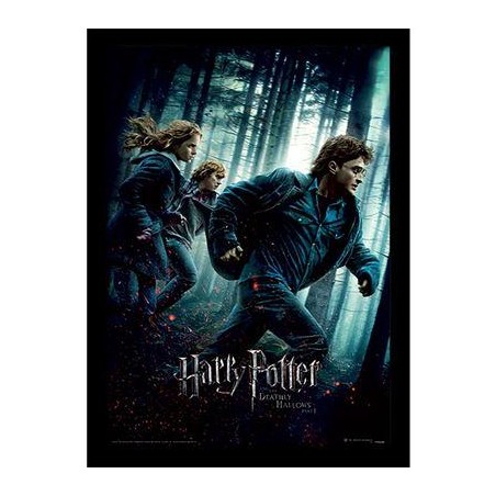 HARRY POTTER - Reliques de la Mort Part 1 -Impression encadrée 30x40cm