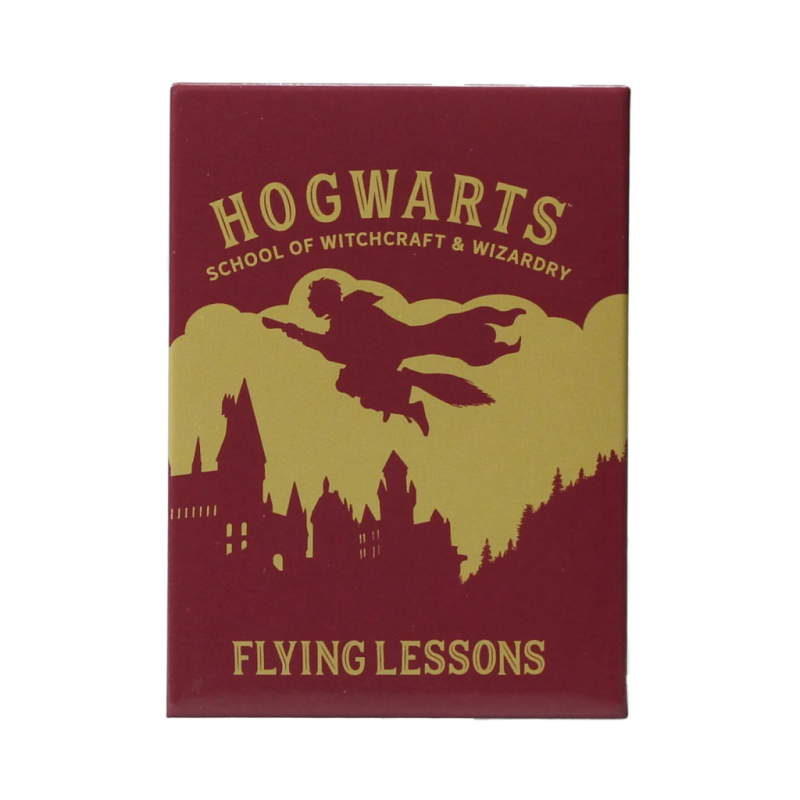 HARRY POTTER - Flying Lessons - Magnet HARRY POTTER - Flying Lessons - Magnet