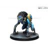 Infinity - Team Sirius