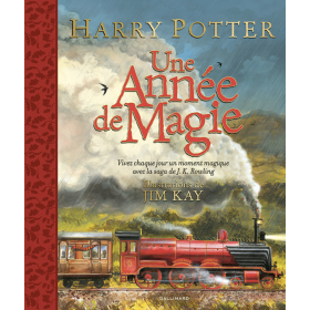 HARRY POTTER - Une année de magie