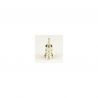 Buse 0,6 mmavec joint pour Evolution Infinity Ultra Colani + Grafo