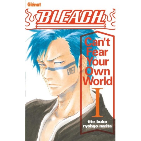 BLEACH - Can't Fear Your Own World - Roman - Tome 1