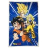 DRAGON BALL Z - Plaid Premium'100X150cm'
