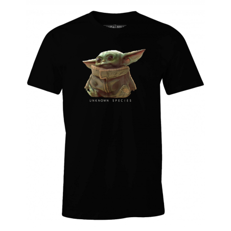 THE MANDALORIAN - Espèce inconnue - T-shirt homme (XXL)