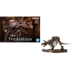 IMAGERY SKELETON - 1/32 Triceratops - Model Kit