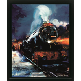 HARRY POTTER - Poudlard Express - Poster lenticulaire 3D 29x24x4cm