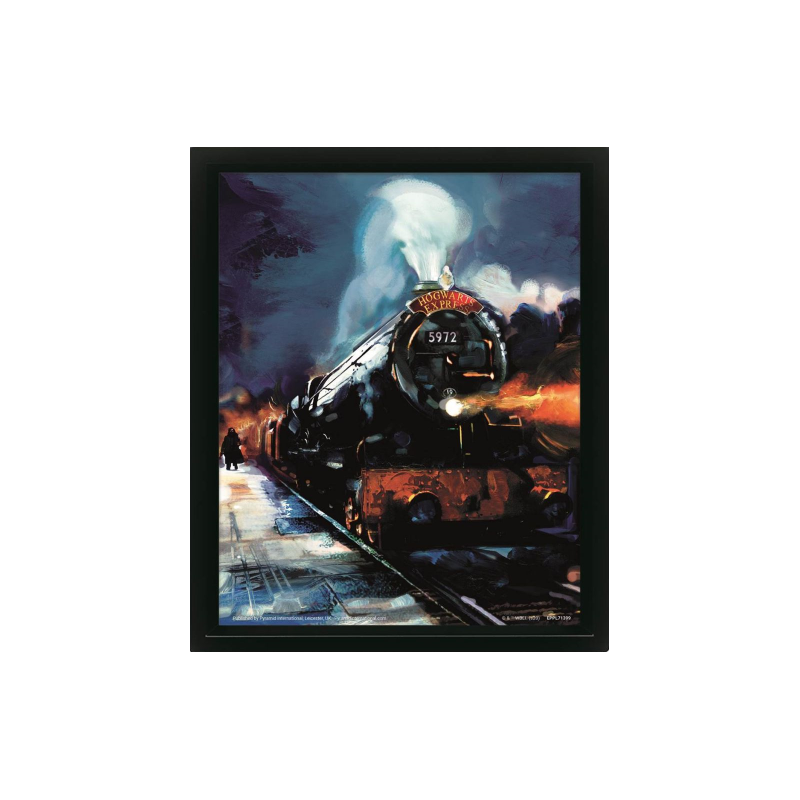 HARRY POTTER - Poudlard Express - Poster lenticulaire 3D 29x24x4cm HARRY POTTER - Poudlard Express - Poster lenticulaire 3D 29x24x4cm