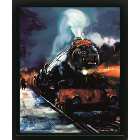 HARRY POTTER - Poudlard Express - Poster lenticulaire 3D 29x24x4cm