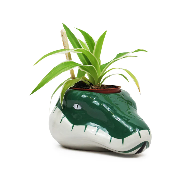 HARRY POTTER - Serpentard - Pot Pour Plante HARRY POTTER - Serpentard - Pot Pour Plante