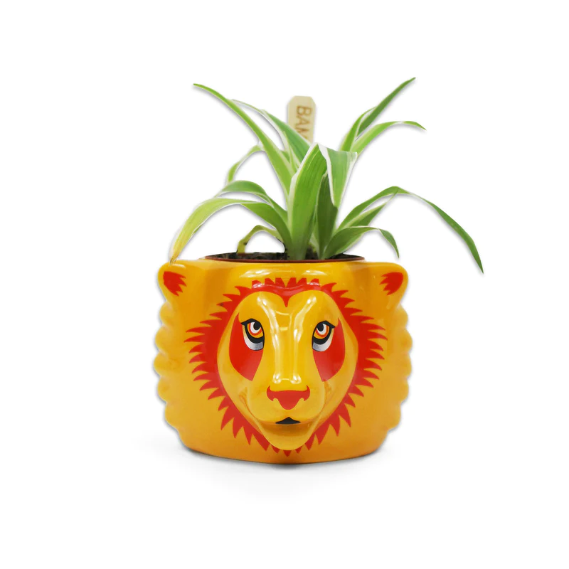 HARRY POTTER - Gryffondor - Pot Pour Plante HARRY POTTER - Gryffondor - Pot Pour Plante