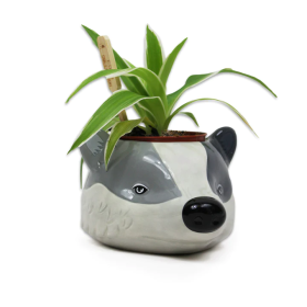 HARRY POTTER - Poufsouffle - Pot Pour Plante