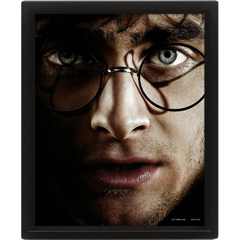 HARRY POTTER - Harry vs Voldemort - Poster lenticulaire 3D 26x20cm HARRY POTTER - Harry vs Voldemort - Poster lenticulaire 3D 26x20cm