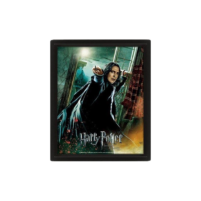 HARRY POTTER - Deathly Hallows - Poster lenticulaire 3D 26x20cm HARRY POTTER - Deathly Hallows - Poster lenticulaire 3D 26x20cm
