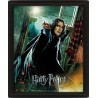 HARRY POTTER - Deathly Hallows - Poster lenticulaire 3D 26x20cm