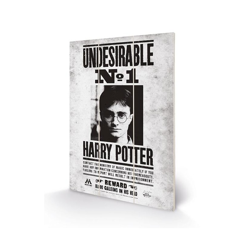 HARRY POTTER - Undesirable No1 - Impression sur bois 20x29.5 HARRY POTTER - Undesirable No1 - Impression sur bois 20x29.5