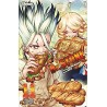 DR STONE - Tome 11