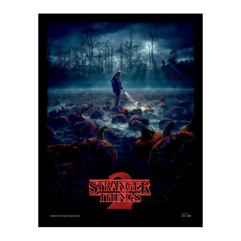 STRANGER THINGS - Pumpkin Patch - Impression encadrée 30x40cm STRANGER THINGS - Pumpkin Patch - Impression encadrée 30x40cm