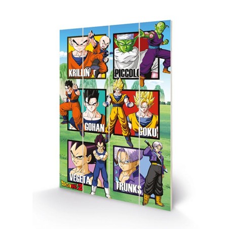 DRAGON BALL Z - Warrior Squares - Impression sur bois 40x59cm