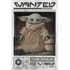 STAR WARS - The Mandalorian - Poster 61X91 - Wanted the Child