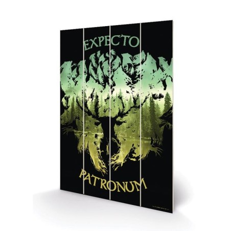 HARRY POTTER - Expecto Patronum - Impression sur bois 20x29.5