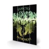 HARRY POTTER - Expecto Patronum - Impression sur bois 20x29.5