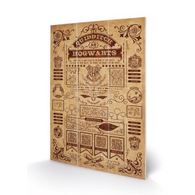 HARRY POTTER - Quidditch at Hogwarts - Impression sur bois 20x29.5
