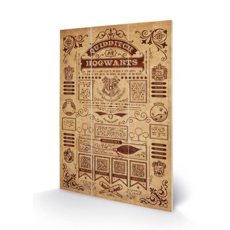 HARRY POTTER - Quidditch at Hogwarts - Impression sur bois 20x29.5