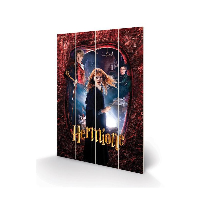HARRY POTTER - Hermione - Impression sur bois 40x59cm HARRY POTTER - Hermione - Impression sur bois 40x59cm
