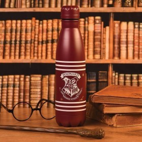 HARRY POTTER - Bouteille en métal - Crest & Stripes - 500ml