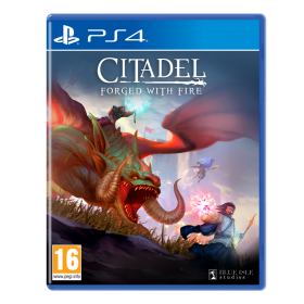 Citadel - Forged with Fire (BOX UK)