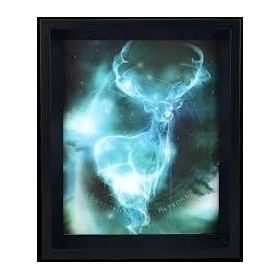 HARRY POTTER - 3D Lenticular Poster 26X20 - Expecto Patronum