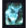 HARRY POTTER - 3D Lenticular Poster 26X20 - Expecto Patronum
