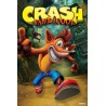 CRASH BANDICOOT - Poster 61x91 - Next Gen Bandicoot