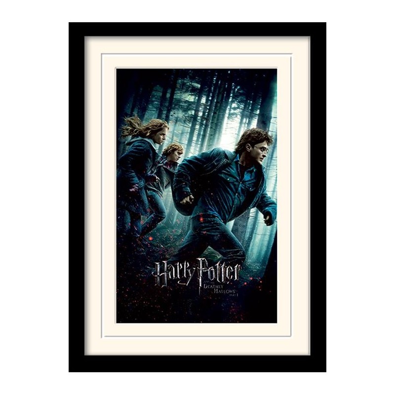 HARRY POTTER - Mounted & Framed 30X40 Print - Deathly Hallows Part 1 HARRY POTTER - Mounted & Framed 30X40 Print - Deathly Hallows Part 1