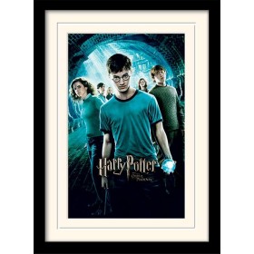 HARRY POTTER - Mounted & Framed 30X40 Print - Order of The Phoenix