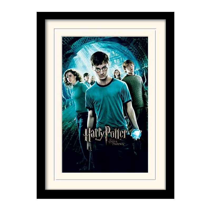 HARRY POTTER - Mounted & Framed 30X40 Print - Order of The Phoenix HARRY POTTER - Mounted & Framed 30X40 Print - Order of The Phoenix
