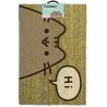 PUSHEEN - Paillasson 40X60 - Pusheen says Hi
