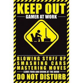 GAMERS - Poster 61X91 - Gamer at Work