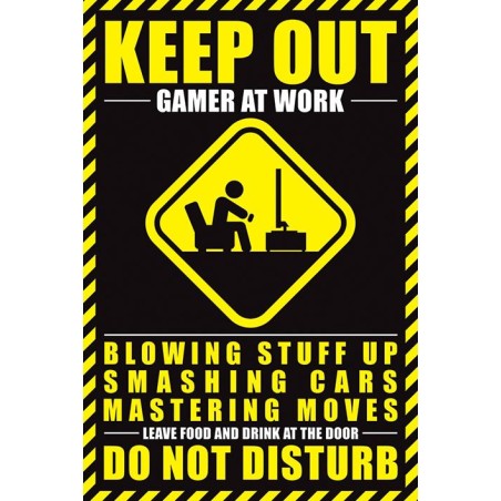 GAMERS - Poster 61X91 - Gamer at Work