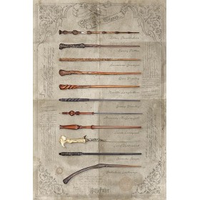 HARRY POTTER - Poster 61x91 - The Wand chooses the Wizard