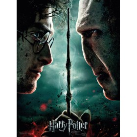 HARRY POTTER - Impression en Verre - Harry / Voldemort - 30X40 Cm
