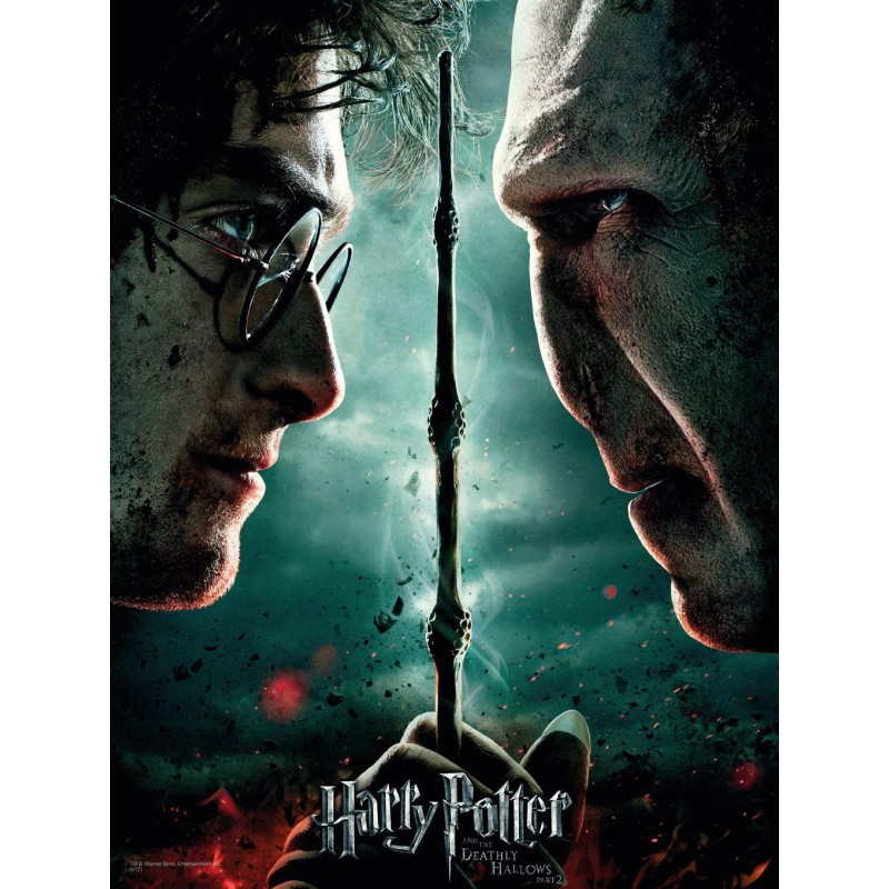HARRY POTTER - Impression en Verre - Harry / Voldemort - 30X40 Cm HARRY POTTER - Impression en Verre - Harry / Voldemort - 30X40 Cm