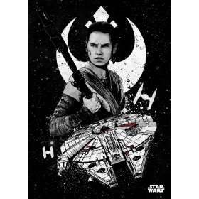 STAR WARS PILOTS - Magnetic Metal Poster 45x32 - Rei