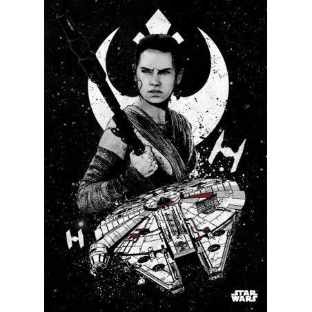 STAR WARS PILOTS - Magnetic Metal Poster 45x32 - Rei