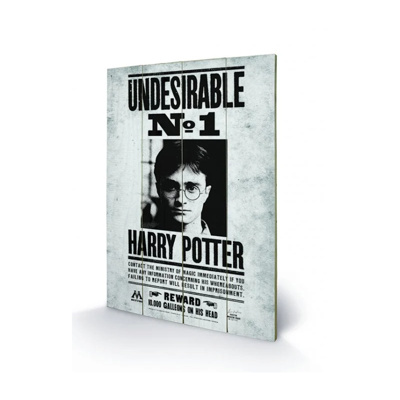 HARRY POTTER - Undesirable N° 1 - Impression sur bois 40x59cm HARRY POTTER - Undesirable N° 1 - Impression sur bois 40x59cm