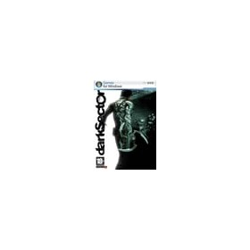 Dark Sector