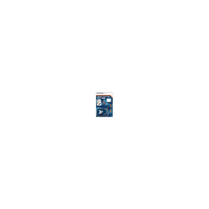 PACK - Champion GREAT PACK DS/DSi (Thrustmaster) PACK - Champion GREAT PACK DS/DSi (Thrustmaster)